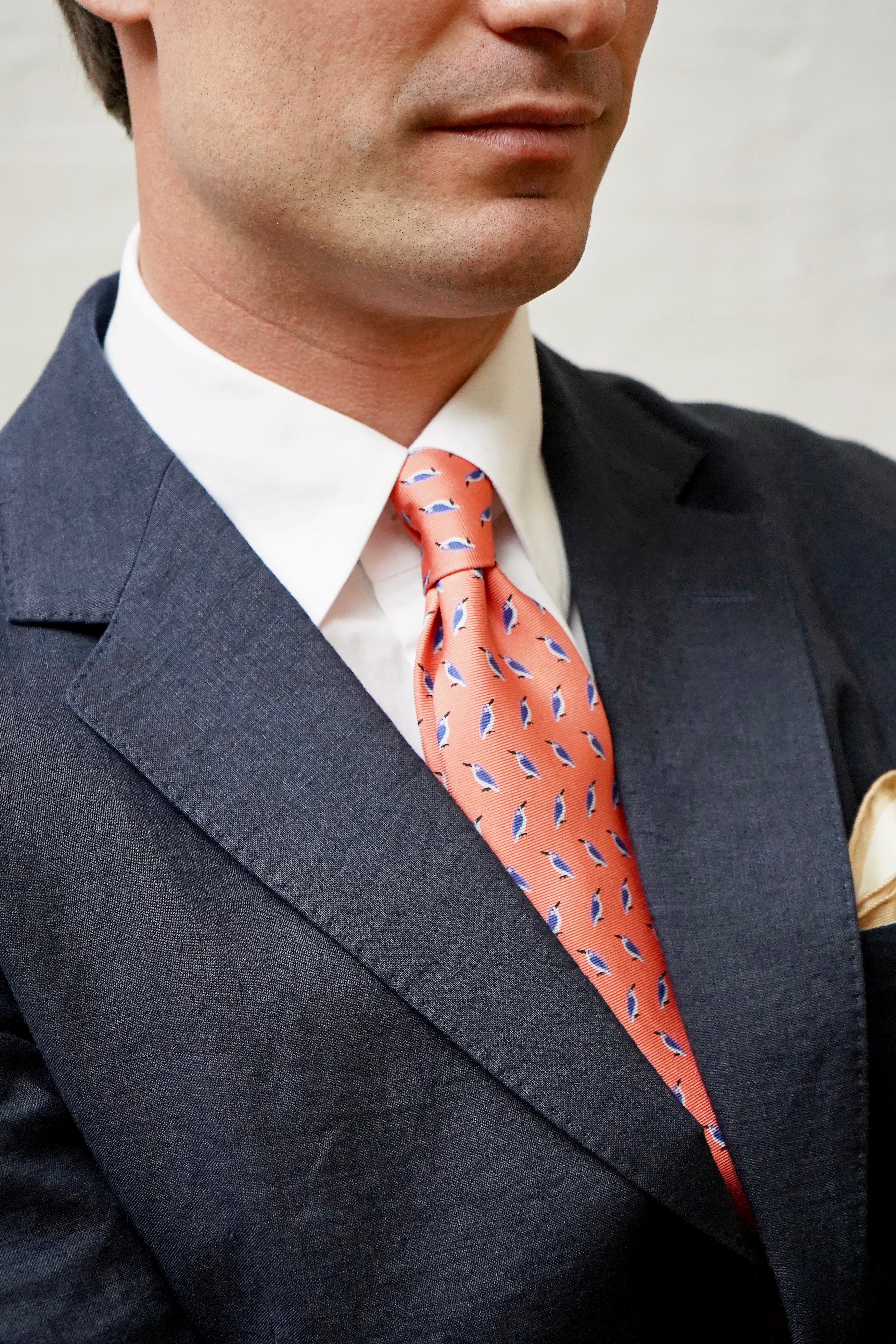 Coral Kingfisher Print Silk Tie